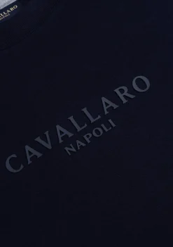 CAVALLARO SWEATER