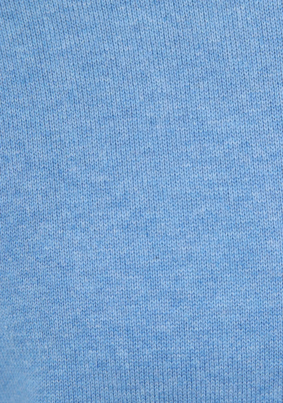 SCOTLAND BLUE COLTRUI