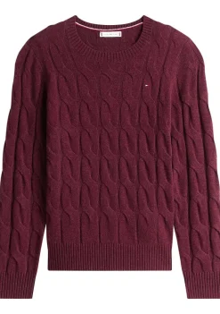 TOMMY HILFIGER TRUI