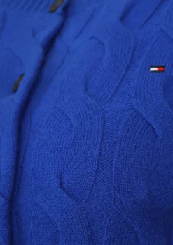 TOMMY HILFIGER VEST