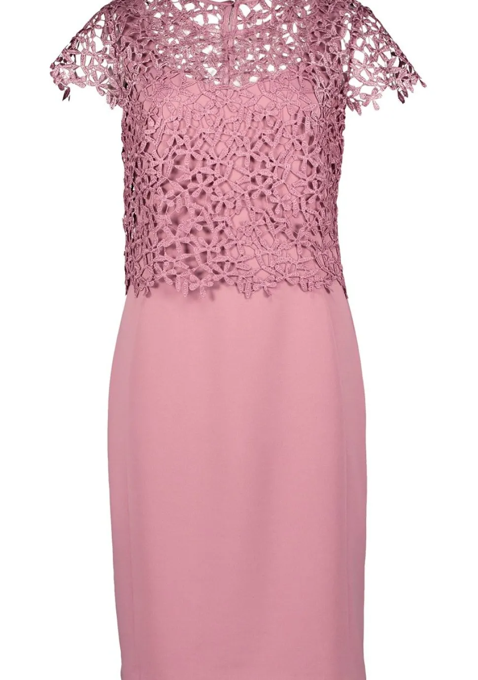VERA MONT JURK
